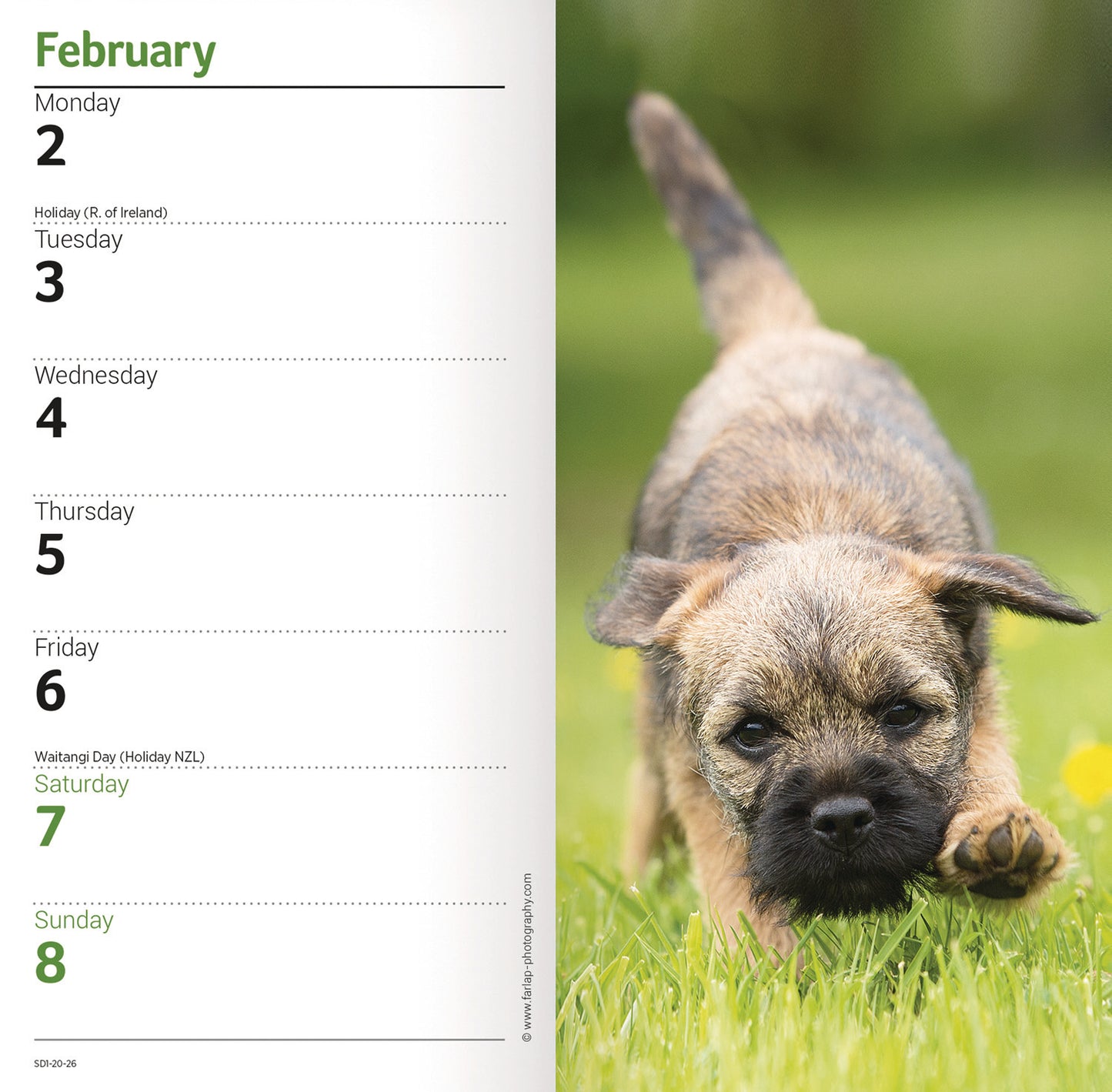 Border Terrier Slim Diary 2026