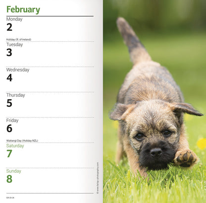 Border Terrier Slim Diary 2026