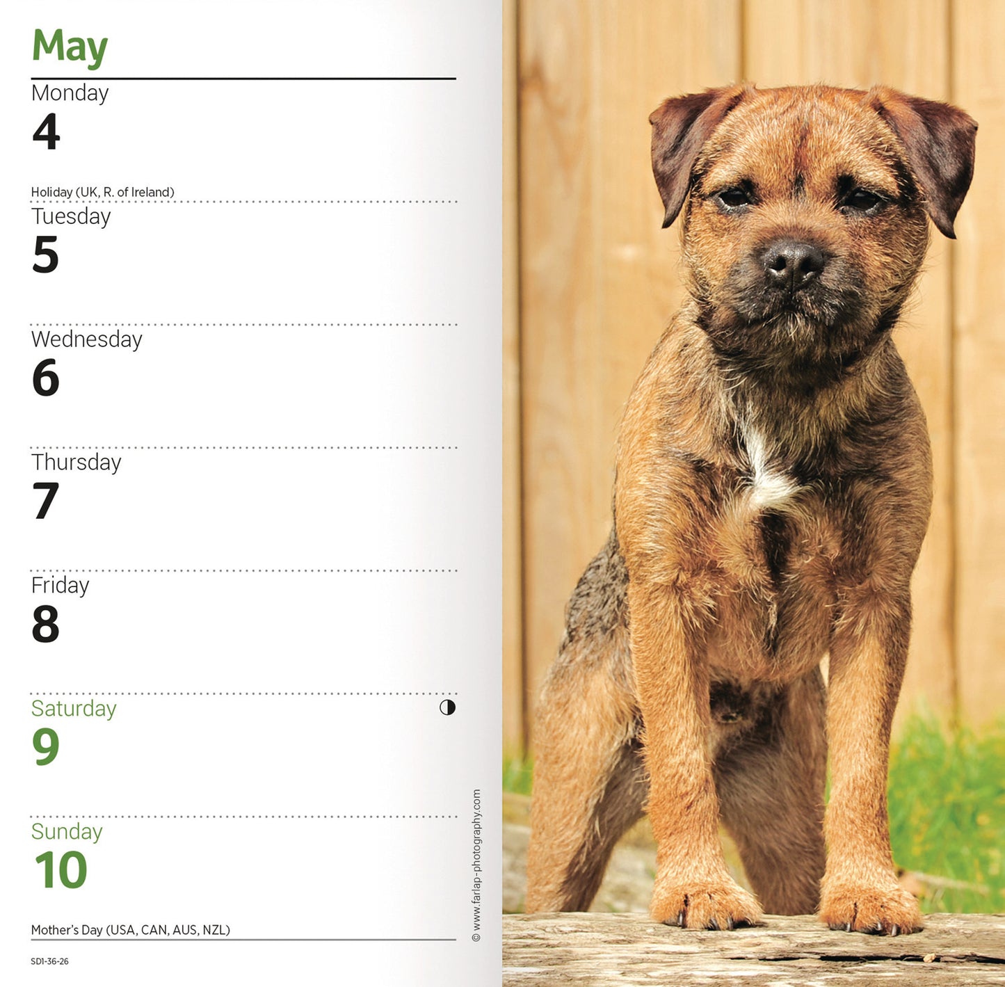 Border Terrier Slim Diary 2026