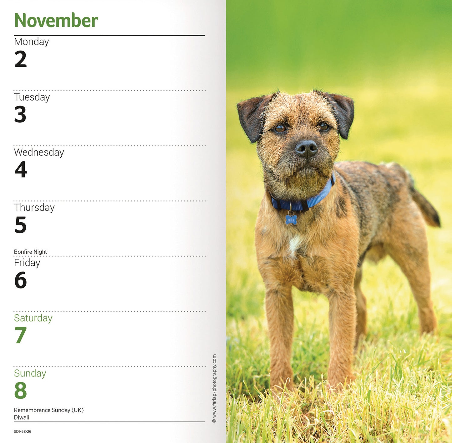 Border Terrier Slim Diary 2026