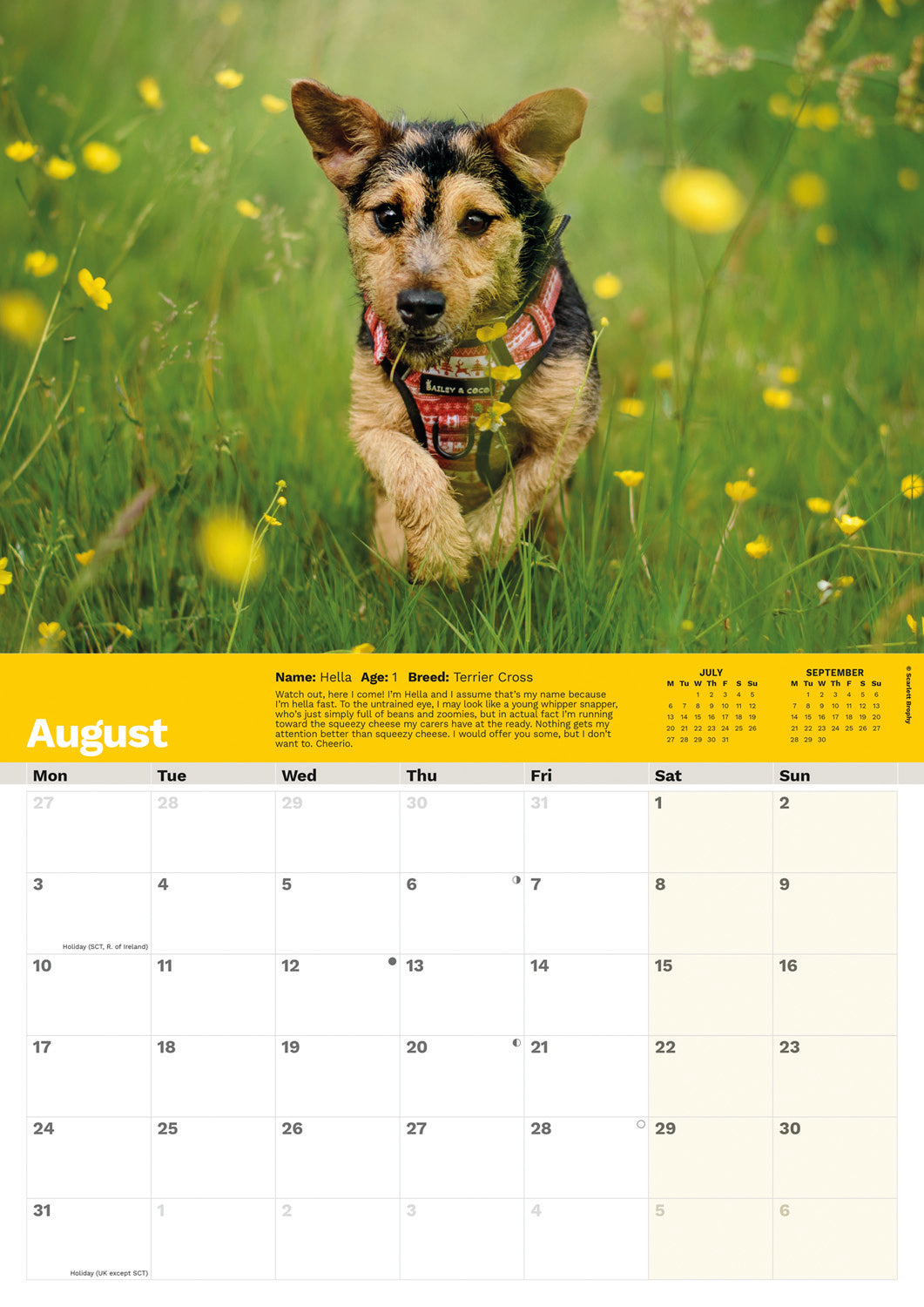 Dogs Trust A4 calendar 2026