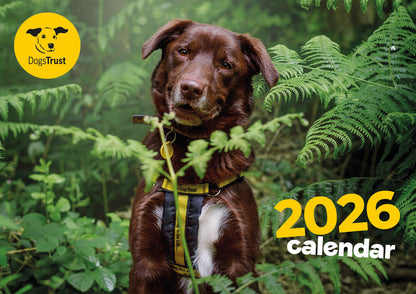 Dogs Trust A4 calendar 2026