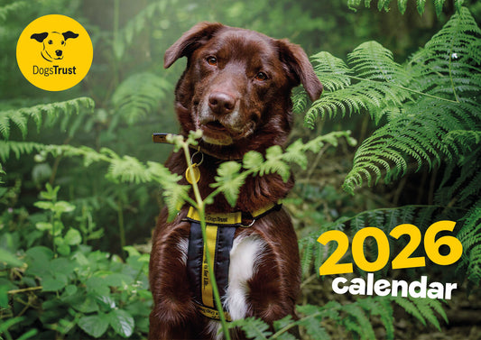 Dogs Trust A4 calendar 2026