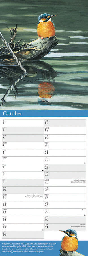 Garden birds by p. pickering slim calendar 2027
