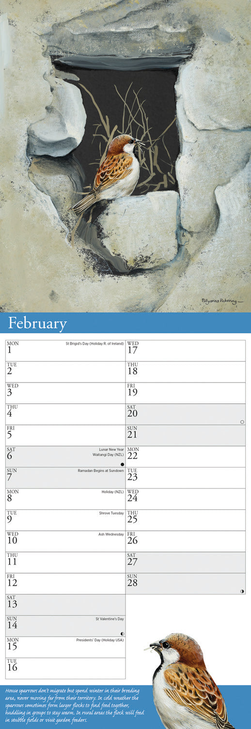 Garden birds by p. pickering slim calendar 2027