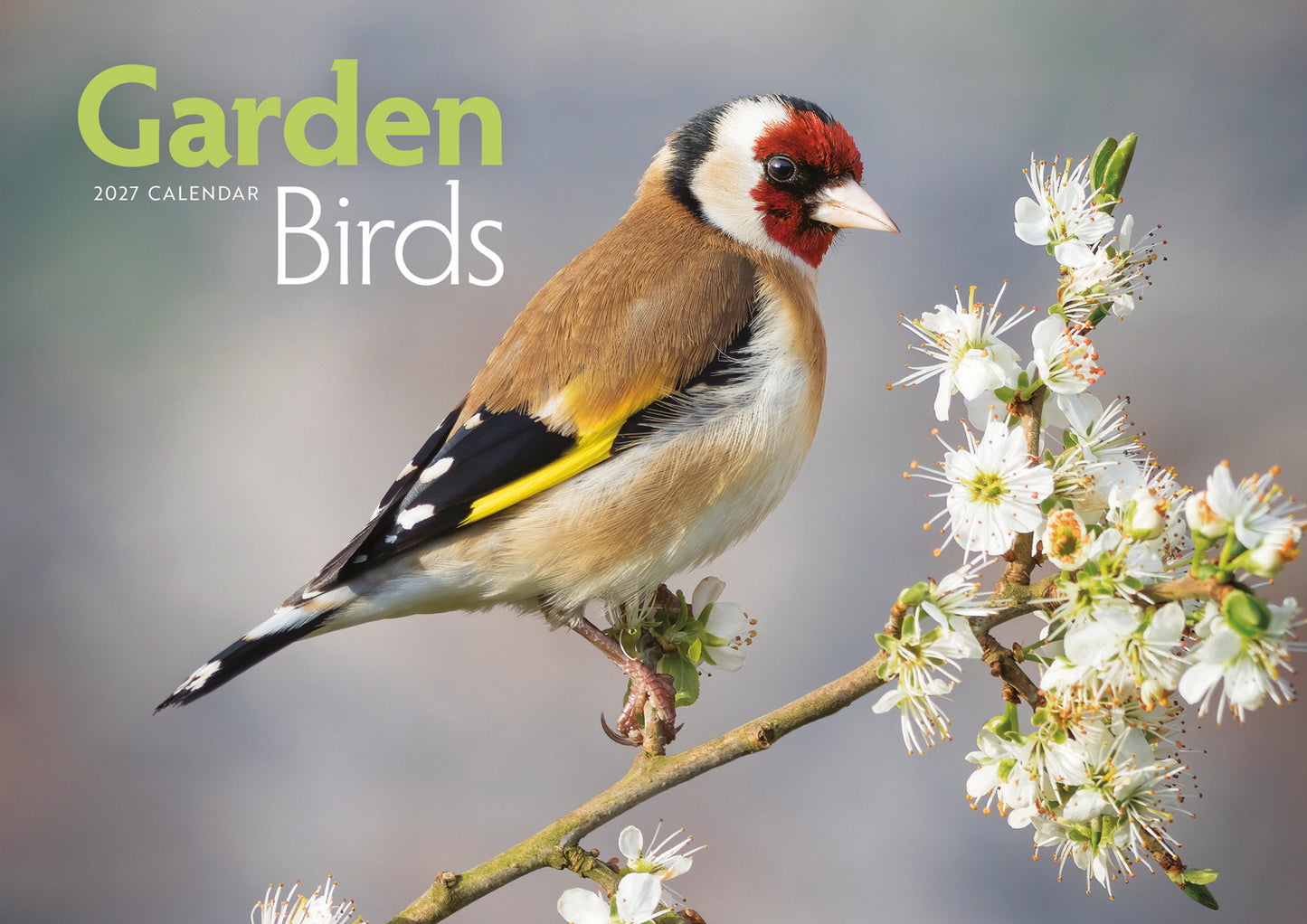 Garden birds A4 calendar 2027