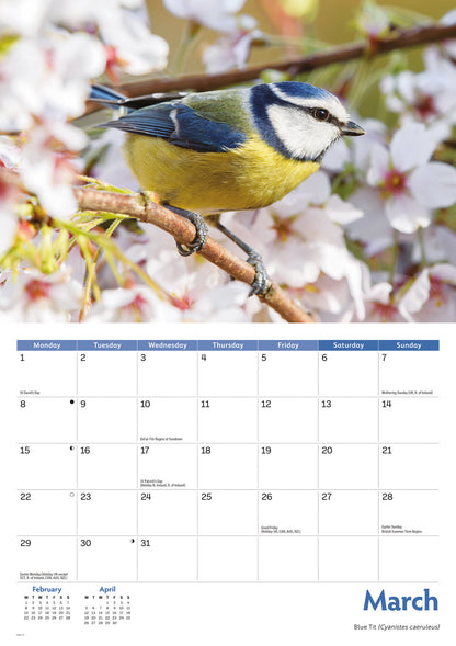 Garden birds A4 calendar 2027