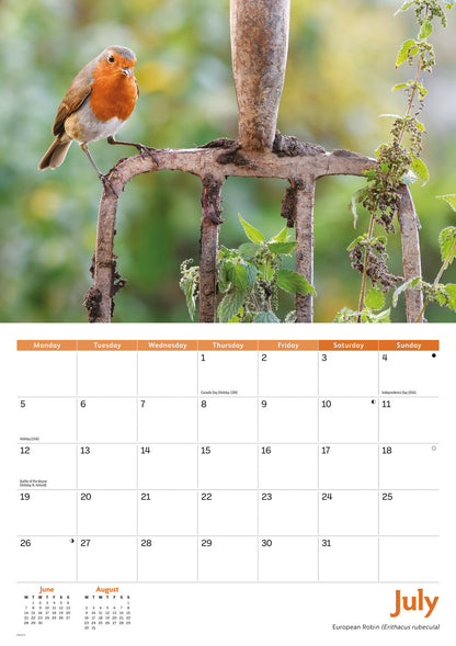 Garden birds A4 calendar 2027