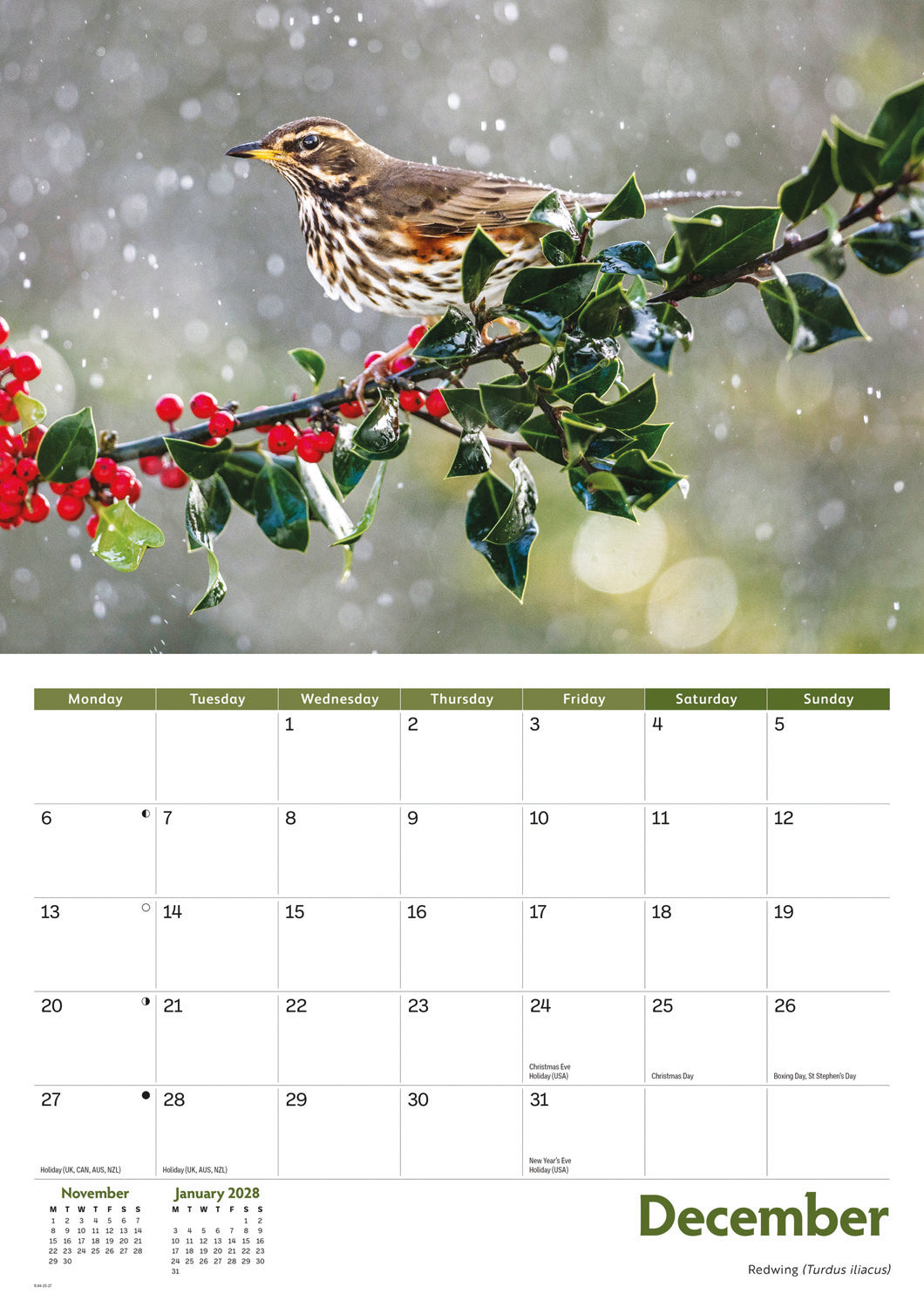 Garden birds A4 calendar 2027