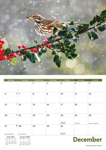 Garden birds A4 calendar 2027