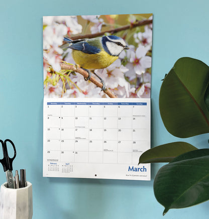 Garden birds A4 calendar 2027