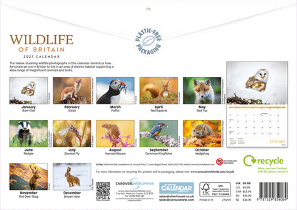 Wildlife of Britain A4 calendar 2027