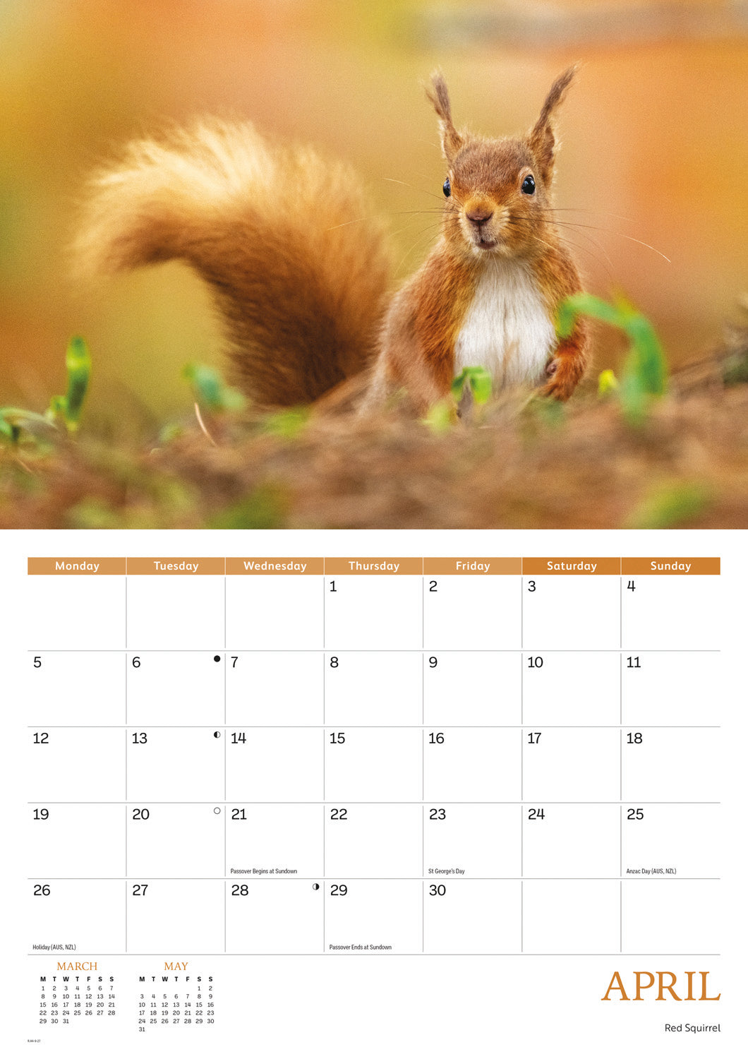 Wildlife of Britain A4 calendar 2027