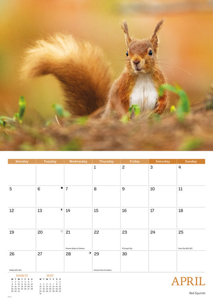 Wildlife of Britain A4 calendar 2027
