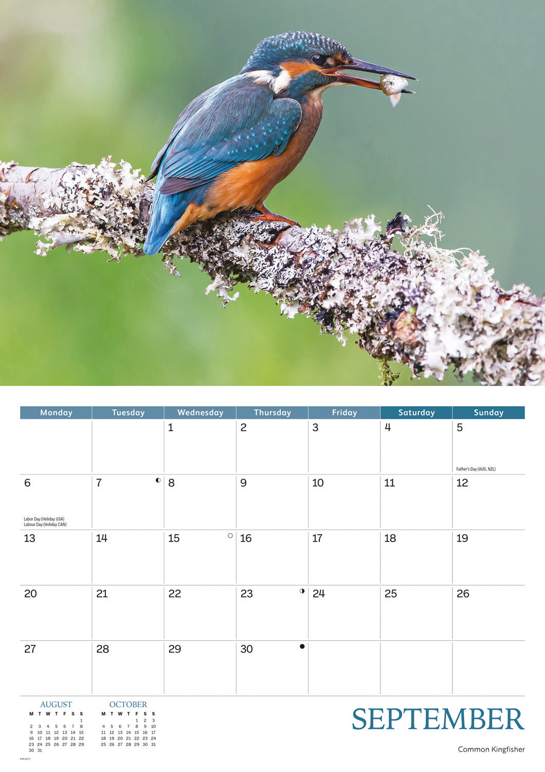 Wildlife of Britain A4 calendar 2027