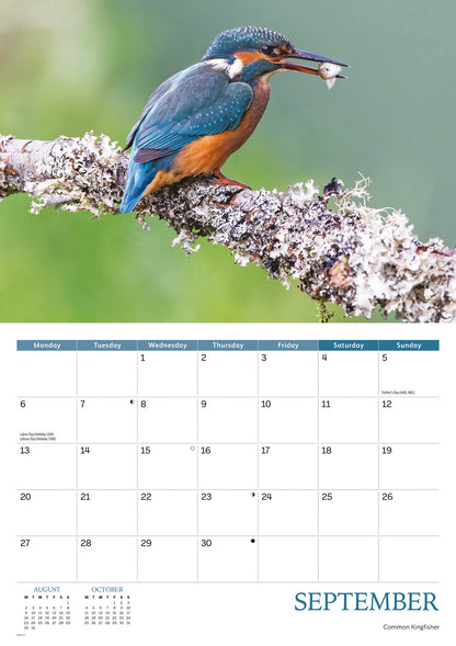 Wildlife of Britain A4 calendar 2027