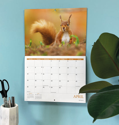 Wildlife of Britain A4 calendar 2027