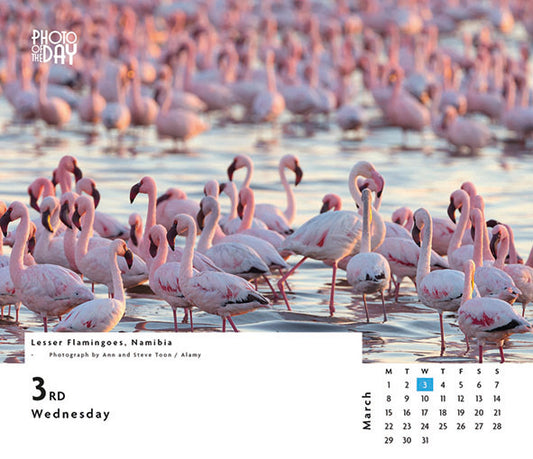 Photo of the day desk calendar 2027