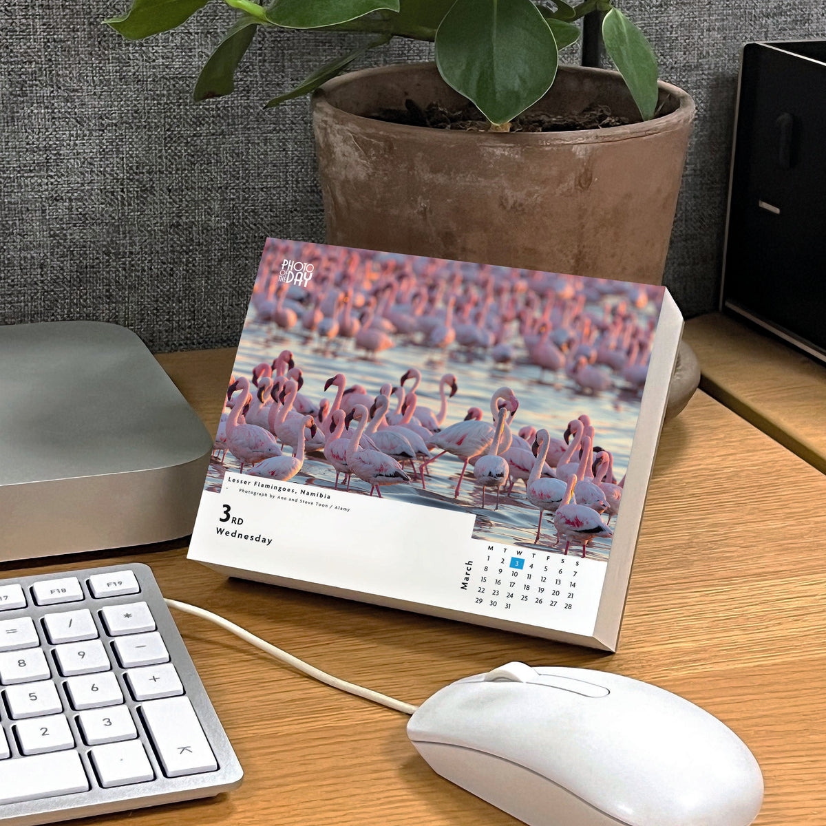 Photo of the day desk calendar 2027
