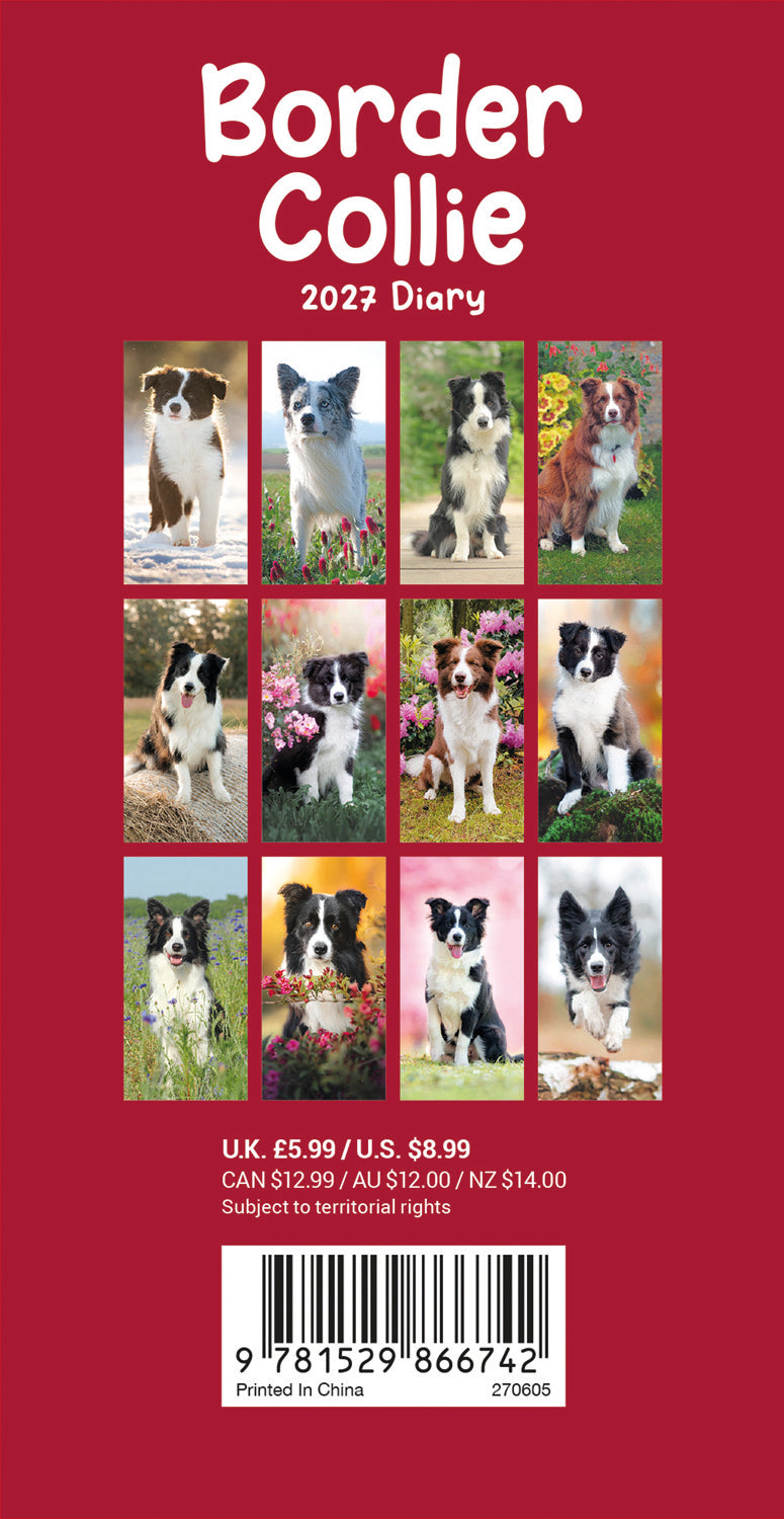 Border Collie slim diary 2027