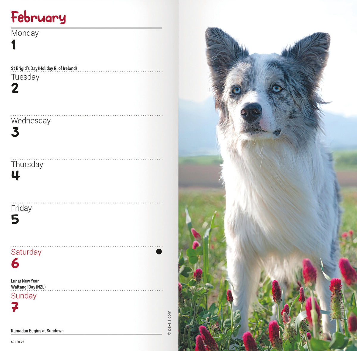 Border Collie slim diary 2027