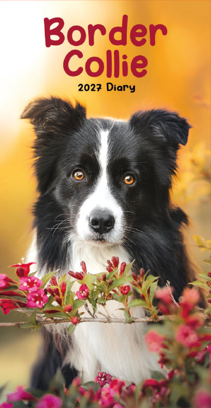 Border Collie slim diary 2027