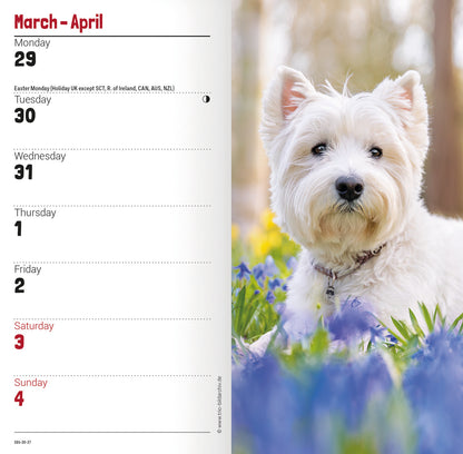 West Highland White Terrier slim diary 2027
