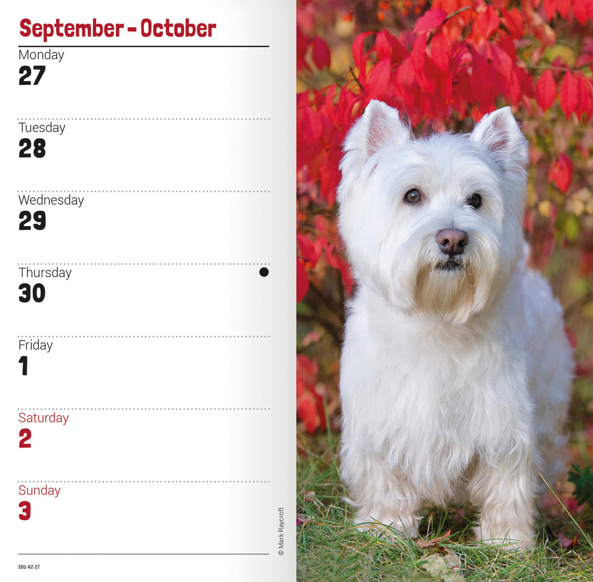 West Highland White Terrier slim diary 2027