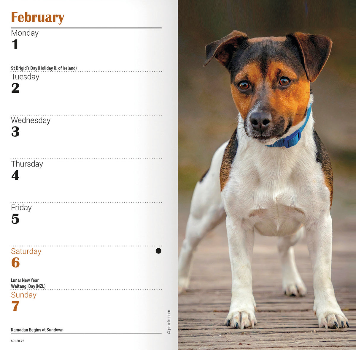 Jack Russell slim diary 2027