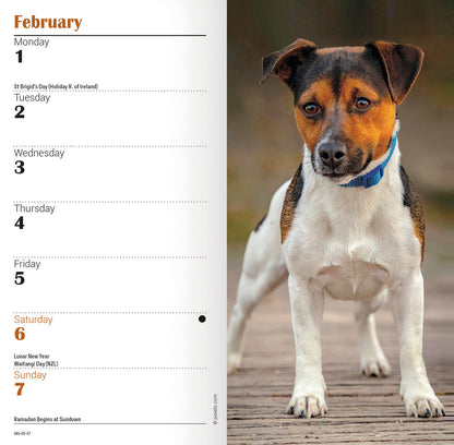 Jack Russell slim diary 2027