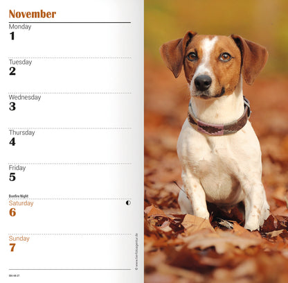 Jack Russell slim diary 2027