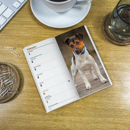 Jack Russell slim diary 2027