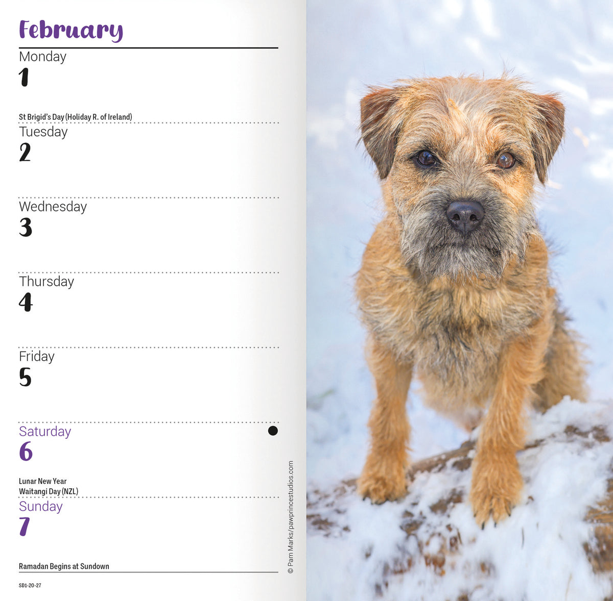 Border Terrier slim diary 2027