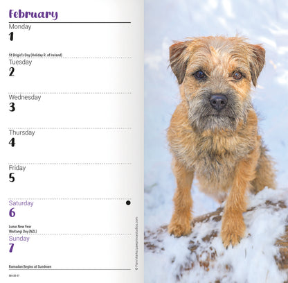 Border Terrier slim diary 2027