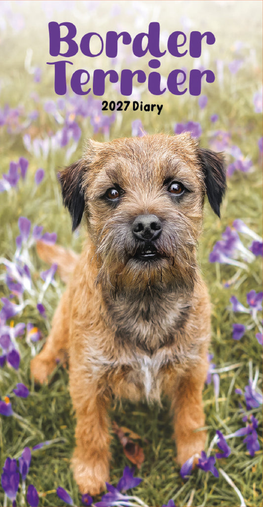 Border Terrier slim diary 2027