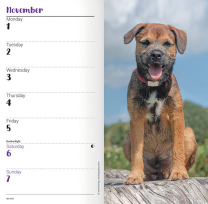 Border Terrier slim diary 2027