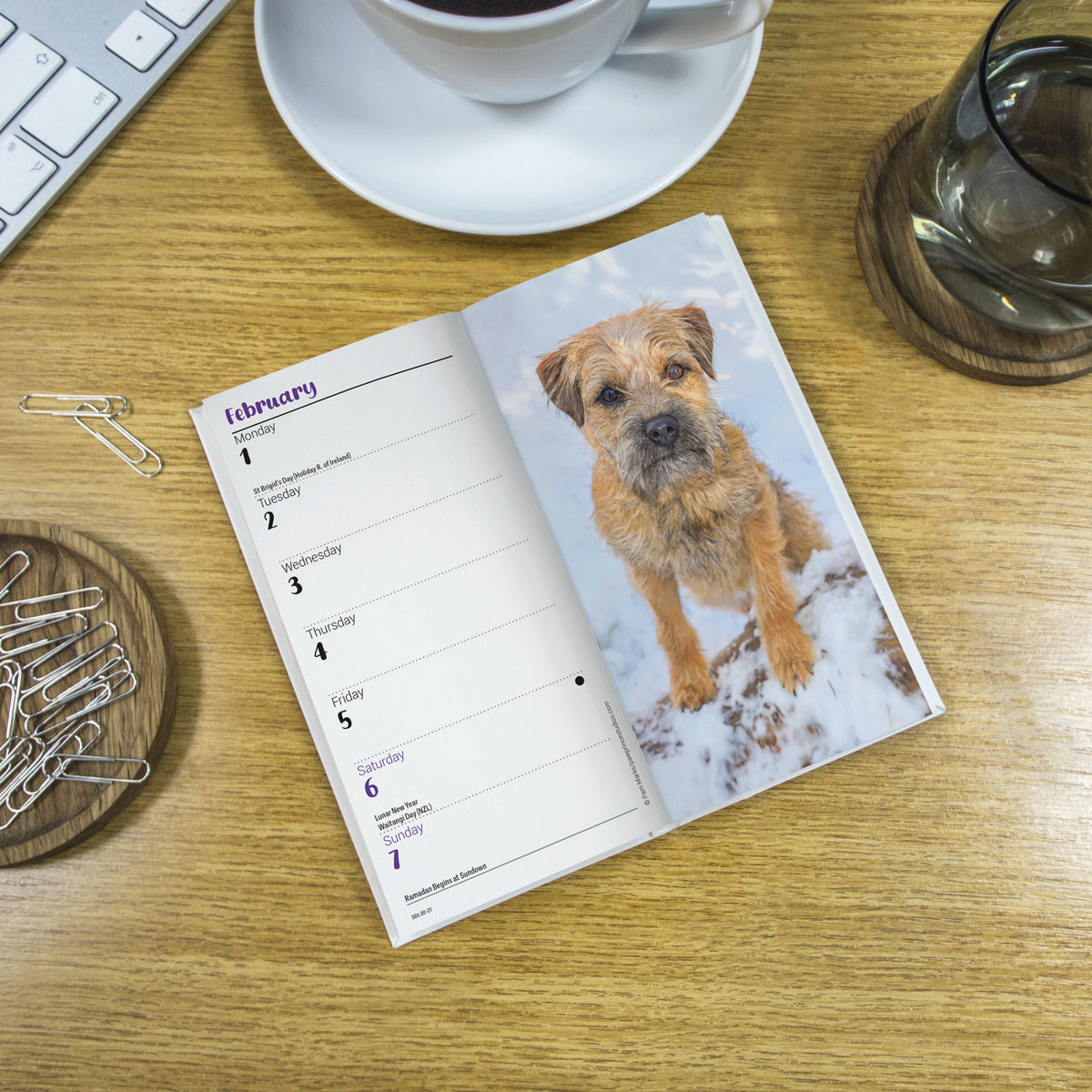 Border Terrier slim diary 2027