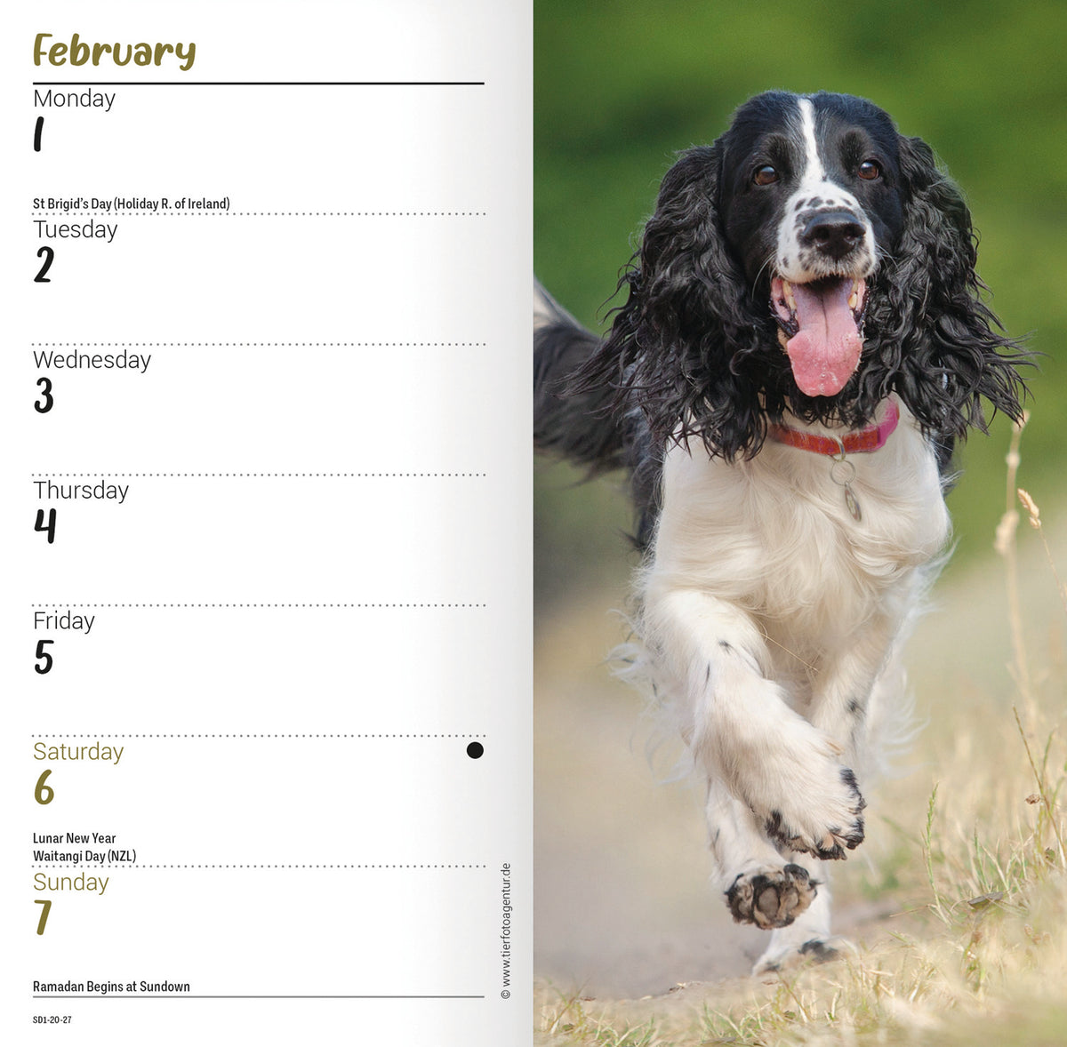 English Springer Spaniel slim diary 2027