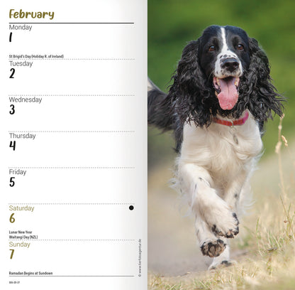 English Springer Spaniel slim diary 2027