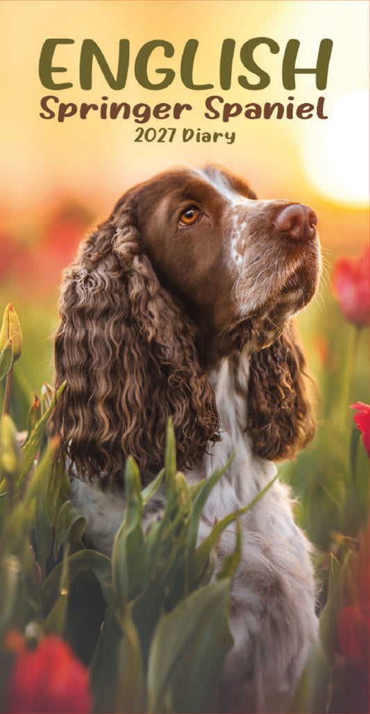 English Springer Spaniel slim diary 2027
