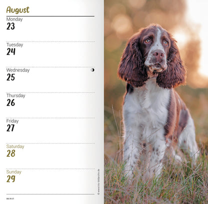 English Springer Spaniel slim diary 2027