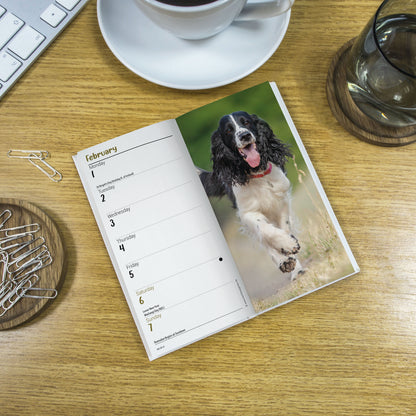 English Springer Spaniel slim diary 2027
