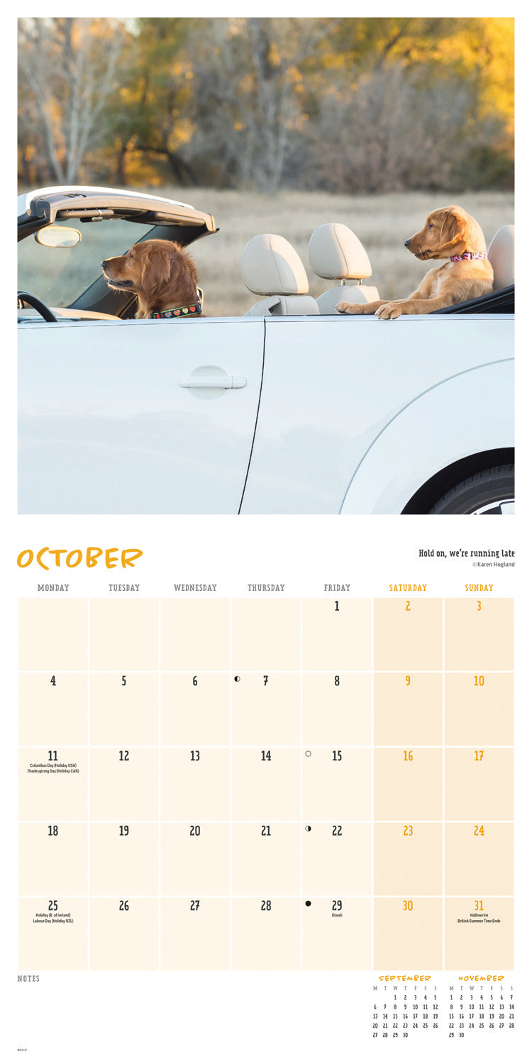 Comedy pet photo awards wall calendar 2027