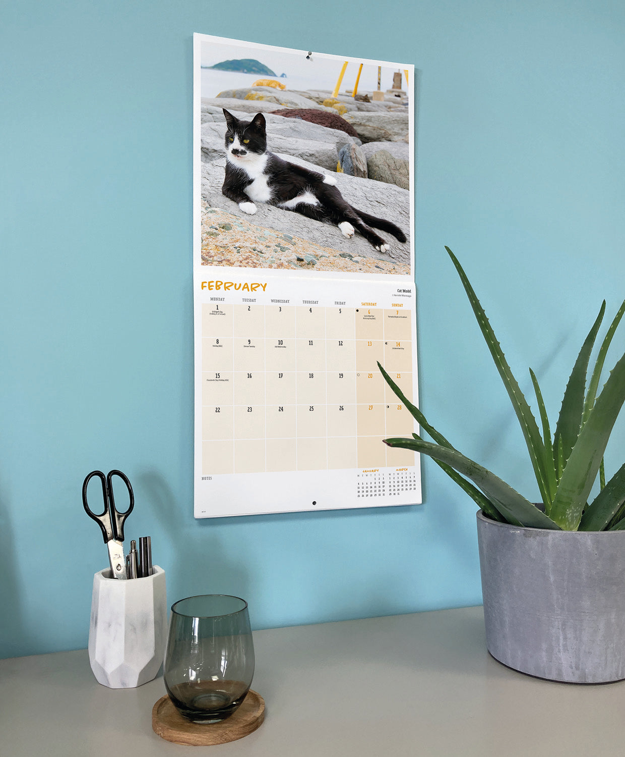 Comedy pet photo awards wall calendar 2027