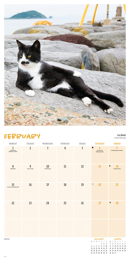 Comedy pet photo awards wall calendar 2027