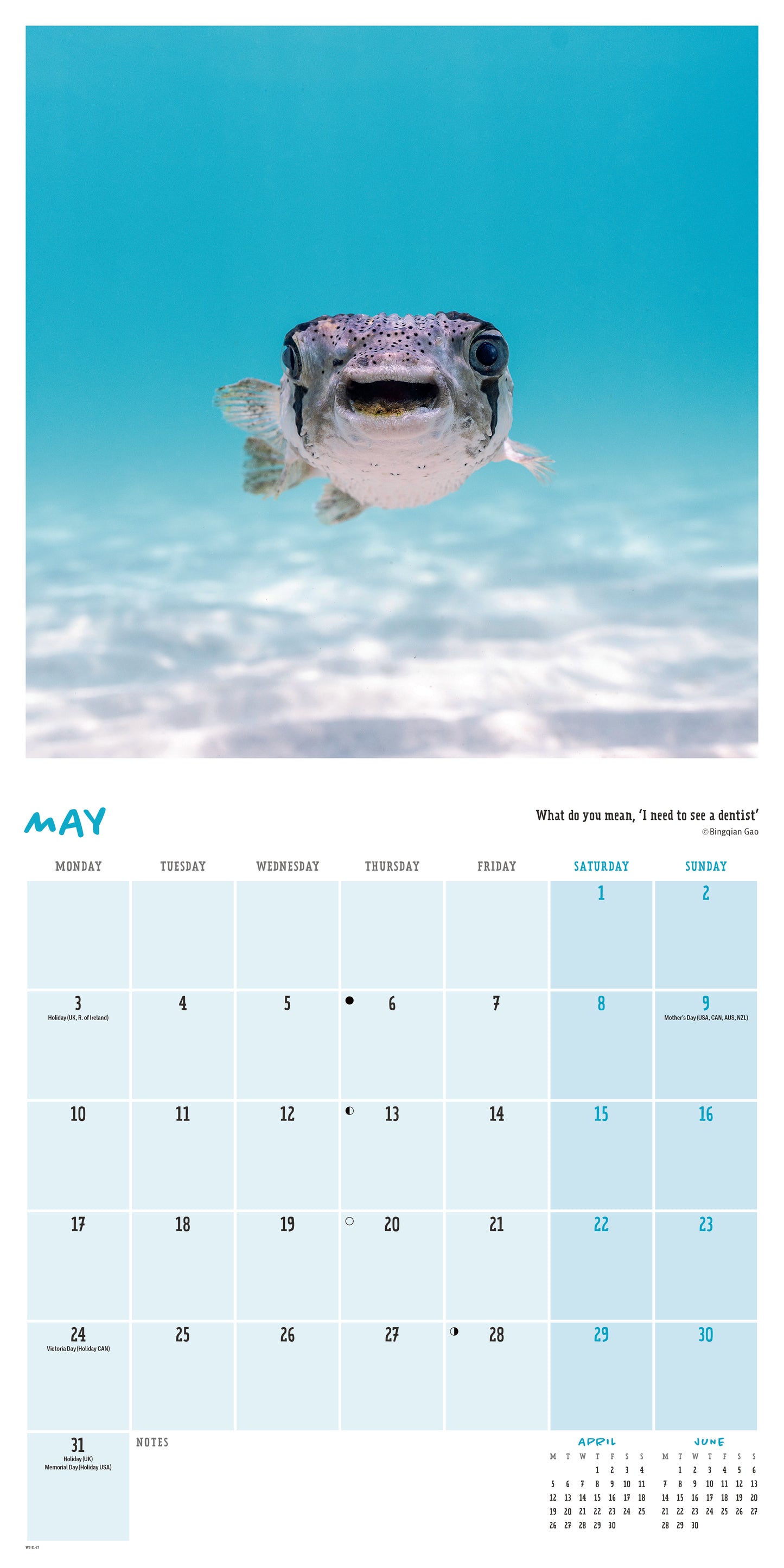 Comedy wildlife photo awards wall calendar 2027