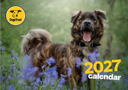 Dogs Trust A4 calendar 2027