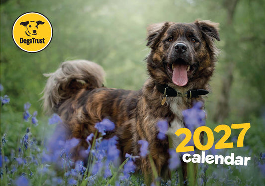Dogs Trust A4 calendar 2027