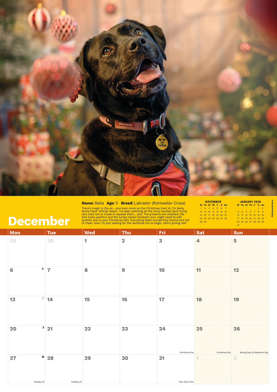 Dogs Trust A4 calendar 2027