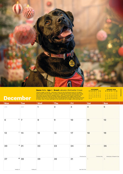 Dogs Trust A4 calendar 2027